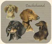 Musemtte gr m/alle varianter