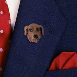 Pin med korthret rd gravhund