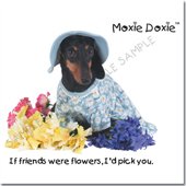Moxie-Doxie - dobbeltkort med blank inderside