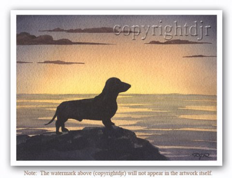 Gravhund i solnedgang