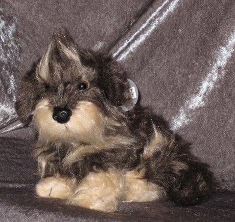 siddende pjusket ruh�ret, stor