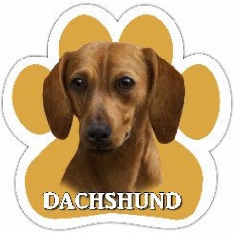 Magnetisk sticker med rd gravhund