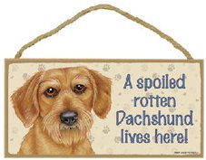 Skilt i tr: Spoiled rotten dachshund lives here - ruhr