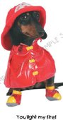 Moxie-Doxie - dobbeltkort med blank inderside
