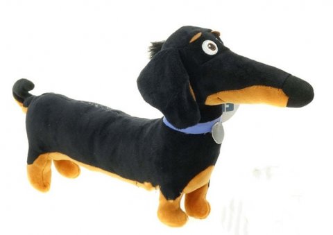 Buddy Dachshund Dog, mellem