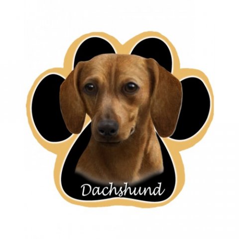 poteformet musemtte med rd gravhund