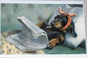 Antique Cards - A time for me