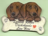 Spoiled rotten... magnet dobbelt rd korthaar