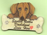Spoiled rotten... magnet rd korthar
