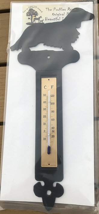 Termometer, langhr