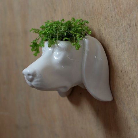 Plantehoved
