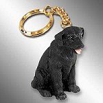 Nglering med sort labrador