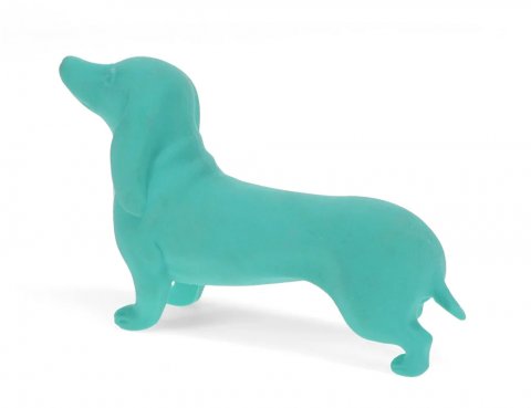 Kmpe viskeldergravhund, turkis