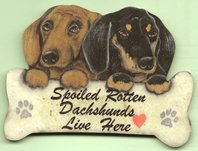 Spoiled rotten... magnet dobbelt rd/sort korthaar