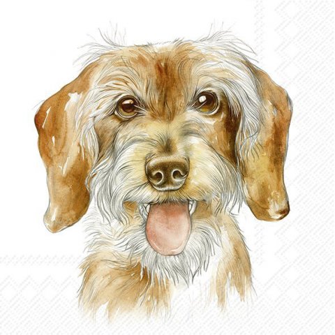 Fritz kaffeservietter