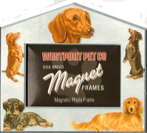 Magnetisk ramme