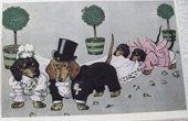 Antique Cards - Bryllup