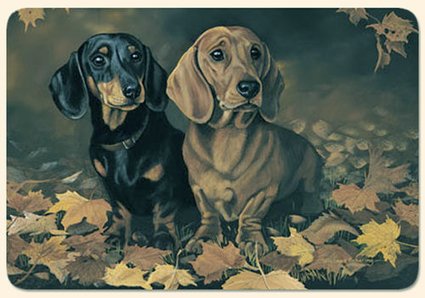 Dkkeserviet til hunden